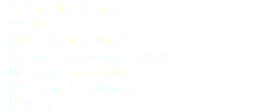- Selling the drama - Weak - Ride like the Wind - Are you gonna go my way - Message in a bottle - Everlong / Pretender - Poison