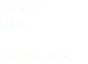Dennis Otto Schlagzeug